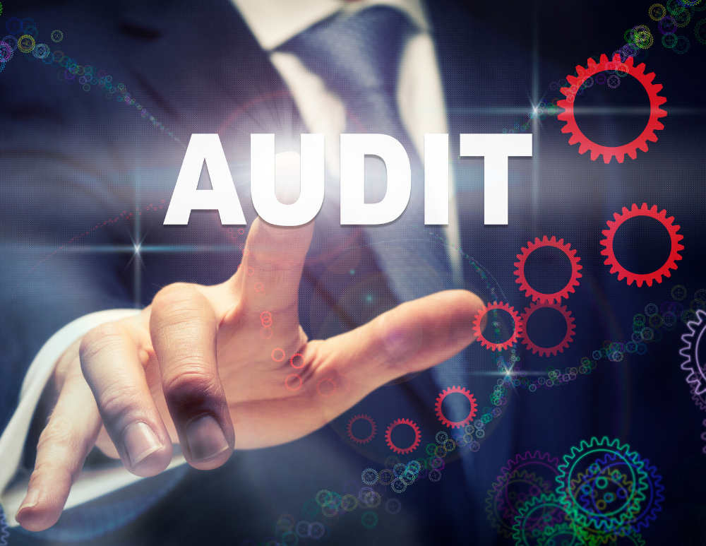 audit-support-2